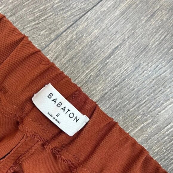 Aritzia Babaton Cohen Pant High Rise Waist Trousers Straight Leg Pleated Rust 2 - Picture 10 of 14